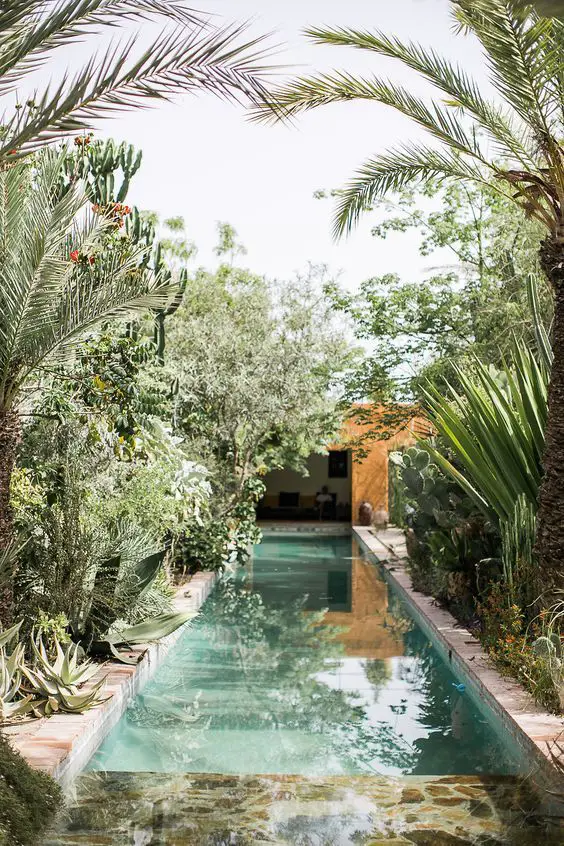 swimming pool inspiration